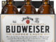 Budweiser Copper Lager